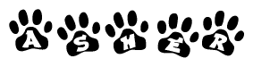 The image shows a row of animal paw prints, each containing a letter. The letters spell out the word Asher within the paw prints.