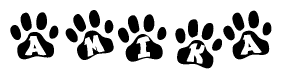 The image shows a series of animal paw prints arranged in a horizontal line. Each paw print contains a letter, and together they spell out the word Amika.