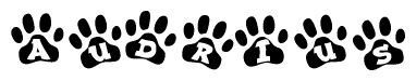 The image shows a series of animal paw prints arranged in a horizontal line. Each paw print contains a letter, and together they spell out the word Audrius.