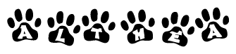 The image shows a row of animal paw prints, each containing a letter. The letters spell out the word Althea within the paw prints.