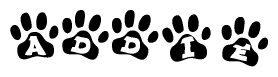 The image shows a series of animal paw prints arranged in a horizontal line. Each paw print contains a letter, and together they spell out the word Addie.