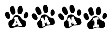 The image shows a row of animal paw prints, each containing a letter. The letters spell out the word Ammi within the paw prints.