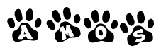 The image shows a series of animal paw prints arranged in a horizontal line. Each paw print contains a letter, and together they spell out the word Amos.
