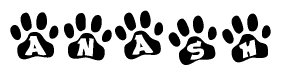 The image shows a series of animal paw prints arranged in a horizontal line. Each paw print contains a letter, and together they spell out the word Anash.