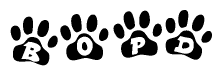 The image shows a row of animal paw prints, each containing a letter. The letters spell out the word Bopd within the paw prints.