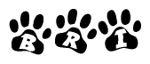 The image shows a row of animal paw prints, each containing a letter. The letters spell out the word Bri within the paw prints.