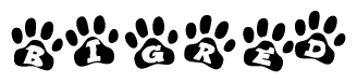 The image shows a series of animal paw prints arranged horizontally. Within each paw print, there's a letter; together they spell Bigred