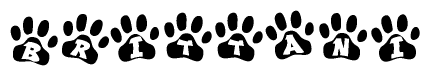 The image shows a series of animal paw prints arranged in a horizontal line. Each paw print contains a letter, and together they spell out the word Brittani.