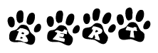 The image shows a series of animal paw prints arranged horizontally. Within each paw print, there's a letter; together they spell Bert