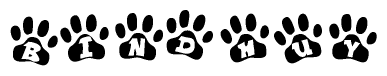 The image shows a row of animal paw prints, each containing a letter. The letters spell out the word Bindhuy within the paw prints.