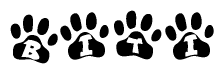 The image shows a row of animal paw prints, each containing a letter. The letters spell out the word Biti within the paw prints.