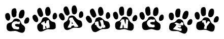 The image shows a series of animal paw prints arranged in a horizontal line. Each paw print contains a letter, and together they spell out the word Chauncey.