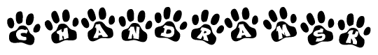 The image shows a series of animal paw prints arranged horizontally. Within each paw print, there's a letter; together they spell Chandramsk