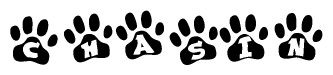 The image shows a series of animal paw prints arranged horizontally. Within each paw print, there's a letter; together they spell Chasin