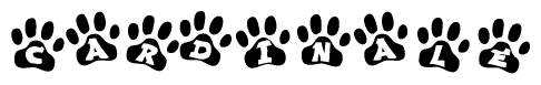 The image shows a series of animal paw prints arranged horizontally. Within each paw print, there's a letter; together they spell Cardinale