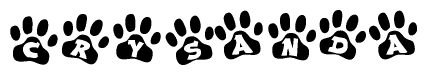The image shows a series of animal paw prints arranged in a horizontal line. Each paw print contains a letter, and together they spell out the word Crysanda.