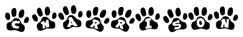 The image shows a series of animal paw prints arranged in a horizontal line. Each paw print contains a letter, and together they spell out the word Charrison.