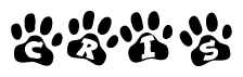 The image shows a series of animal paw prints arranged in a horizontal line. Each paw print contains a letter, and together they spell out the word Cris.
