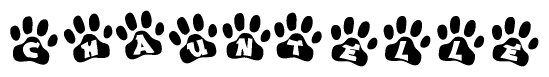 The image shows a series of animal paw prints arranged horizontally. Within each paw print, there's a letter; together they spell Chauntelle