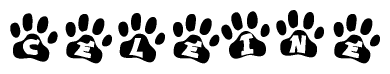 The image shows a series of animal paw prints arranged horizontally. Within each paw print, there's a letter; together they spell Celeine