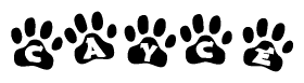 The image shows a row of animal paw prints, each containing a letter. The letters spell out the word Cayce within the paw prints.