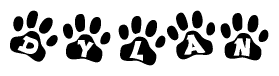The image shows a row of animal paw prints, each containing a letter. The letters spell out the word Dylan within the paw prints.