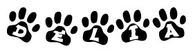 The image shows a row of animal paw prints, each containing a letter. The letters spell out the word Delia within the paw prints.