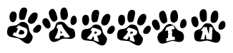 The image shows a series of animal paw prints arranged in a horizontal line. Each paw print contains a letter, and together they spell out the word Darrin.