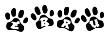 The image shows a series of animal paw prints arranged in a horizontal line. Each paw print contains a letter, and together they spell out the word Ebru.