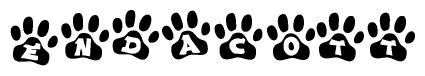 The image shows a row of animal paw prints, each containing a letter. The letters spell out the word Endacott within the paw prints.