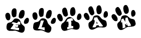 The image shows a series of animal paw prints arranged in a horizontal line. Each paw print contains a letter, and together they spell out the word Eliam.