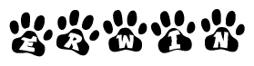 The image shows a row of animal paw prints, each containing a letter. The letters spell out the word Erwin within the paw prints.