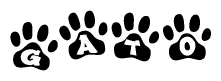 The image shows a series of animal paw prints arranged in a horizontal line. Each paw print contains a letter, and together they spell out the word Gato.