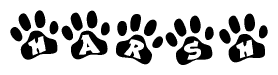 The image shows a series of animal paw prints arranged in a horizontal line. Each paw print contains a letter, and together they spell out the word Harsh.