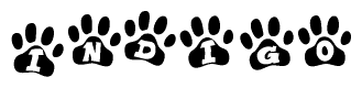 The image shows a row of animal paw prints, each containing a letter. The letters spell out the word Indigo within the paw prints.