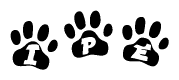 The image shows a series of animal paw prints arranged in a horizontal line. Each paw print contains a letter, and together they spell out the word Ipe.
