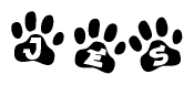 The image shows a row of animal paw prints, each containing a letter. The letters spell out the word Jes within the paw prints.