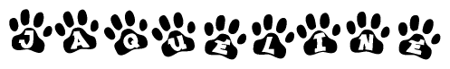 The image shows a series of animal paw prints arranged horizontally. Within each paw print, there's a letter; together they spell Jaqueline