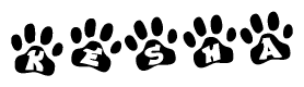 The image shows a series of animal paw prints arranged horizontally. Within each paw print, there's a letter; together they spell Kesha