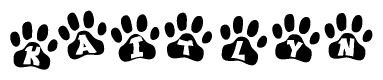 The image shows a series of animal paw prints arranged in a horizontal line. Each paw print contains a letter, and together they spell out the word Kaitlyn.