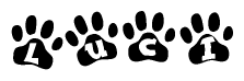 The image shows a series of animal paw prints arranged horizontally. Within each paw print, there's a letter; together they spell Luci