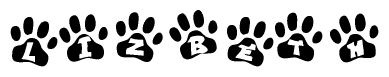 The image shows a series of animal paw prints arranged in a horizontal line. Each paw print contains a letter, and together they spell out the word Lizbeth.