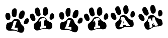 The image shows a series of animal paw prints arranged horizontally. Within each paw print, there's a letter; together they spell Liliam
