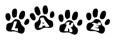 The image shows a row of animal paw prints, each containing a letter. The letters spell out the word Lake within the paw prints.