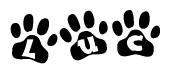 Animal Paw Prints with Luc Lettering