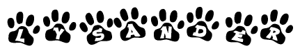 The image shows a series of animal paw prints arranged in a horizontal line. Each paw print contains a letter, and together they spell out the word Lysander.