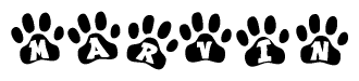 The image shows a row of animal paw prints, each containing a letter. The letters spell out the word Marvin within the paw prints.