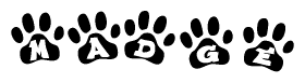 The image shows a series of animal paw prints arranged in a horizontal line. Each paw print contains a letter, and together they spell out the word Madge.