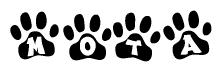 The image shows a series of animal paw prints arranged in a horizontal line. Each paw print contains a letter, and together they spell out the word Mota.