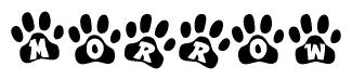 The image shows a series of animal paw prints arranged in a horizontal line. Each paw print contains a letter, and together they spell out the word Morrow.